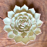 Ceramic Flora by Pottery by Jodi