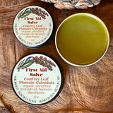 Healing Salves by Wildroot Horticultural