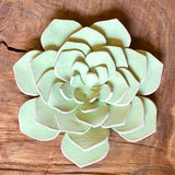 Ceramic Flora by Pottery by Jodi