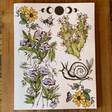 Flora Sisters Sketchbook by Marcy Ellis