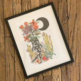 Framed Art Prints by Marcy Ellis