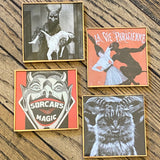 Coaster Set of 4 By DDco Design