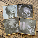 Coaster Set of 4 By DDco Design