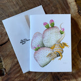 Sonoran Desert Notecards by Aall Forms of Life