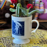 Cactus Cups