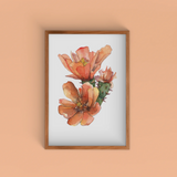 5x7 Cactus Blossom prints by Cacti Oasis*