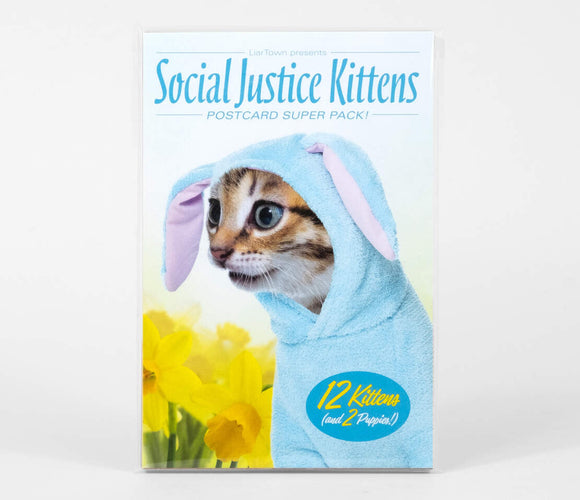 Social Justice Kittens Postcards