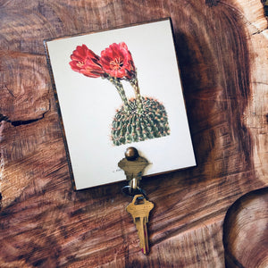 Botanical Cactus Key Hanger