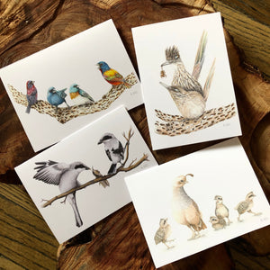 Desert Animals Card Set by Aall Forms of Life