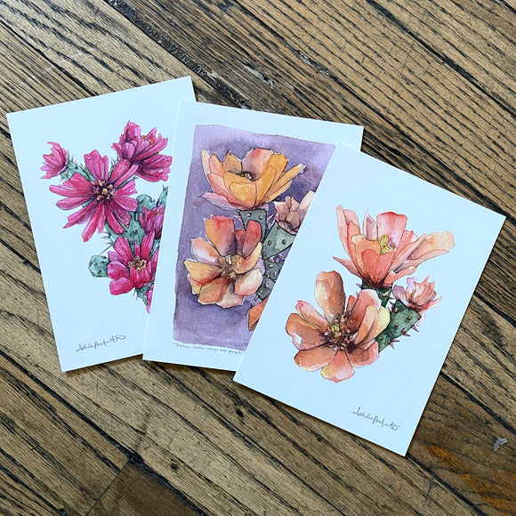 5x7 Cactus Blossom prints by Cacti Oasis*